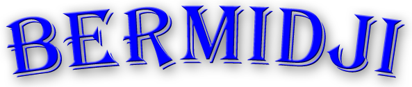 Bermidji Logo